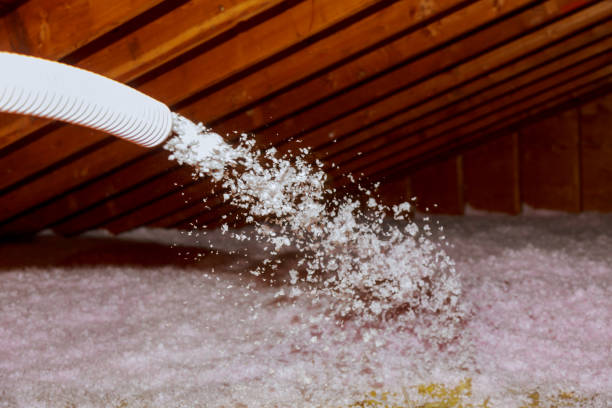 Best Eco-Friendly Insulation in Franklin, TX