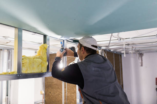 Professional Insulation Contractor in Franklin, TX
