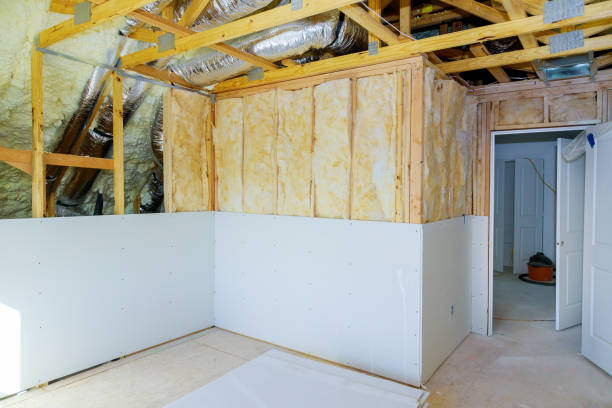 Best Eco-Friendly Insulation in Franklin, TX