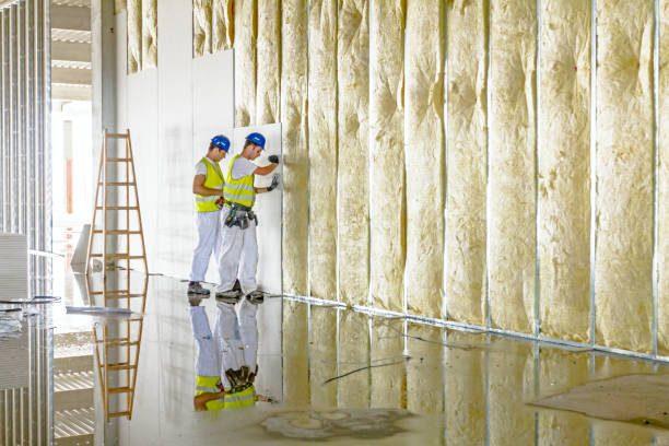 Best DIY Insulation Kits and Guidance in Franklin, TX